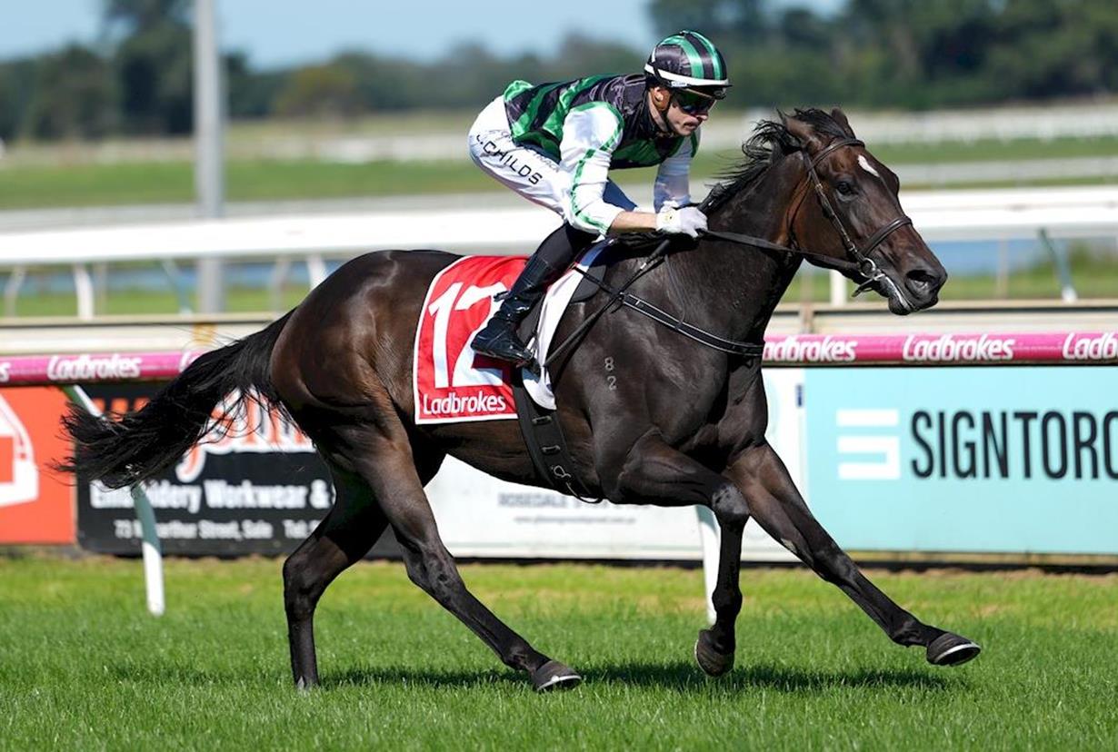 ALLEVIATE HAS NO WORRIES